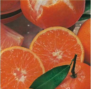 Mandarin Emperor Plants